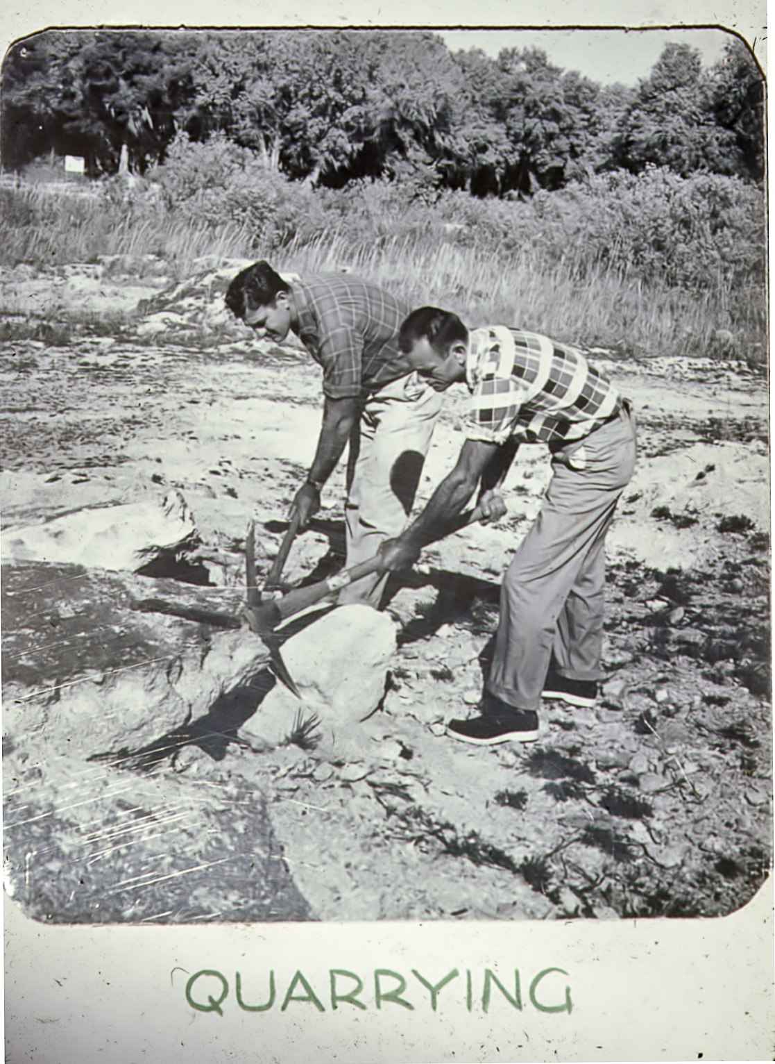 A black and white photograph of two men quarrying coquina with pickaxes in a field.